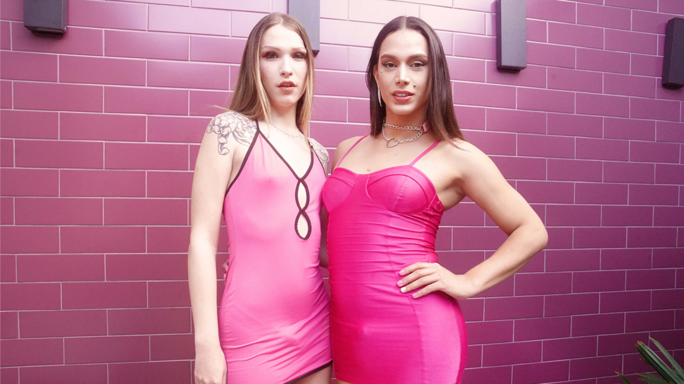 Super Erotic Dream Pairing